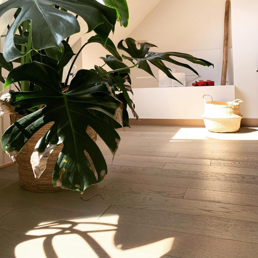 Maison d'Artiste Gand Extérieur photo
