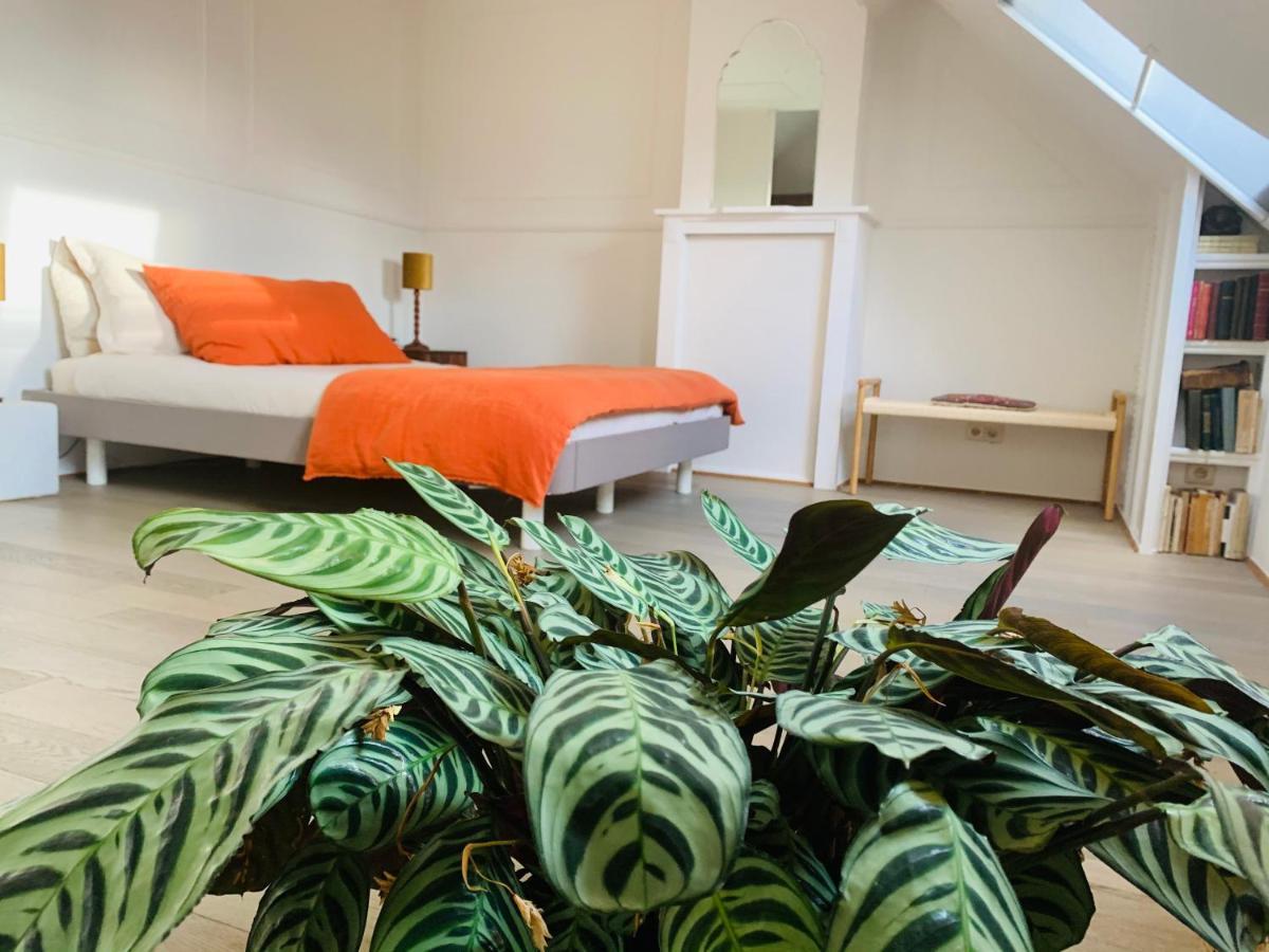 Maison d'Artiste Gand Extérieur photo